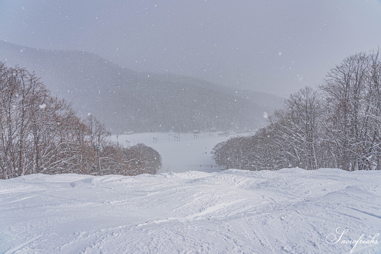 札幌藻岩山スキー場　積雪 105cm。スキーヤーだけが楽しめる！名物の急斜面『うさぎ平』＆『からまつ』両上級者コースもコンディション良好です(^^)/